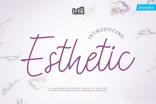 The Natural Elegance of the Esthetic Script Font